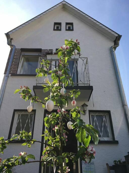Schoenes Haus Mit Grossem Garten Seligenstadt Kültér fotó